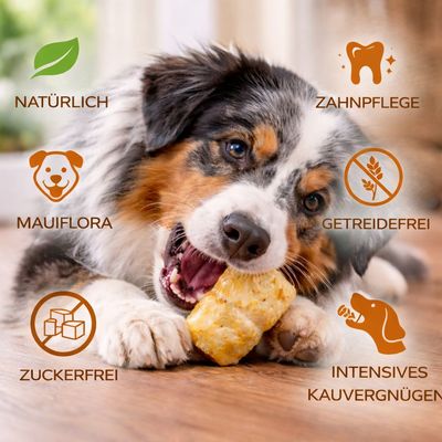 Wildfang Kaukäse - Hartkäse Kaustab - Probierset Bunky Pops