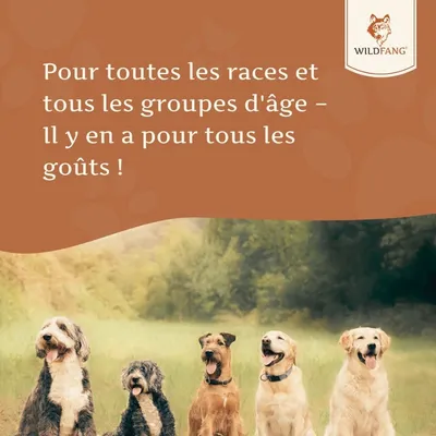 Wildfang Huile de saumon 250 g — complément d'oméga pour chiens