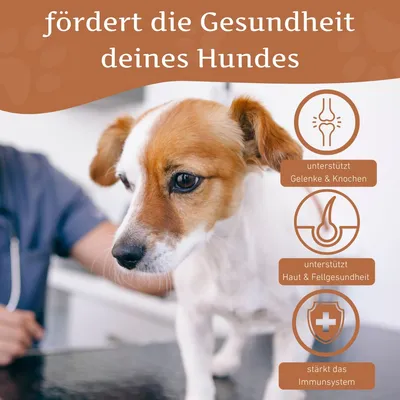 Wildfang - Lachsöl – 100 % natürliches BARF-Öl für Hunde