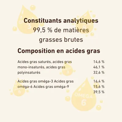 Wildfang Huile de saumon 250 g — complément d'oméga pour chiens