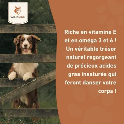 Wildfang Huile de saumon 250 g — complément d'oméga pour chiens