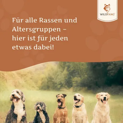 Wildfang - Lachsöl – 100 % natürliches BARF-Öl für Hunde
