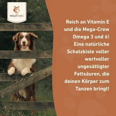 Wildfang - Lachsöl – 100 % natürliches BARF-Öl für Hunde
