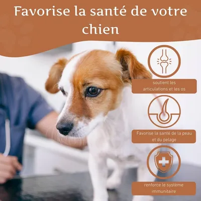 Wildfang Huile de saumon 250 g — complément d'oméga pour chiens