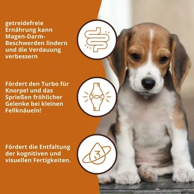 Wildfang Welpen Futterpaket Huhn - getreidefrei Wildfang Welpen Futterpaket Huhn - getreidefrei