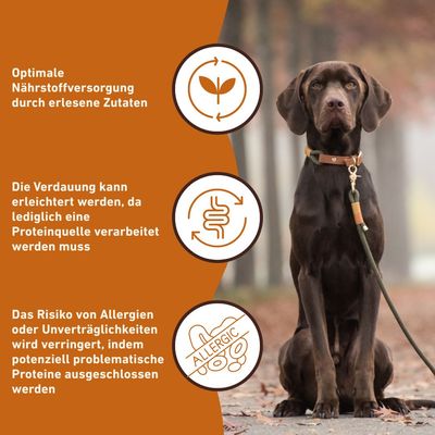 Wildfang Welpen Futterpaket Huhn - getreidefrei
