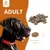 Wildfang Adult Futterpaket Lamm - getreidefrei