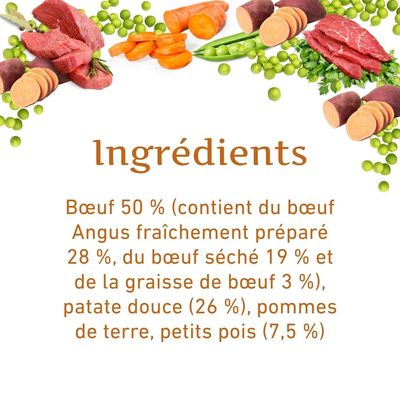 Wildfang Boeuf d'alimentation pour adultes - Grain-sans