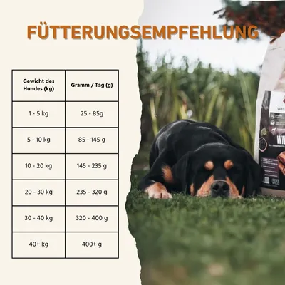Wildfang Adult Futterpaket Rind - getreidefrei