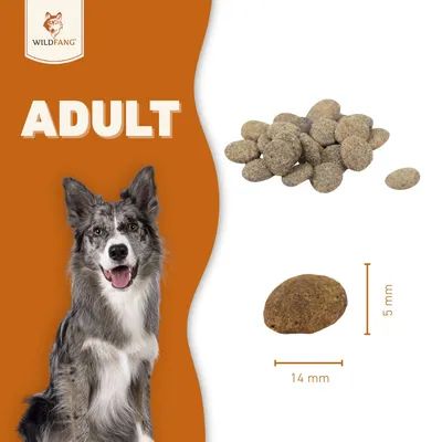 Wildfang Boeuf d'alimentation pour adultes - Grain-sans