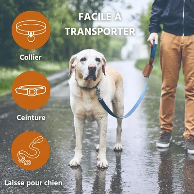 Wildfang Distributeur de sacs en cuir