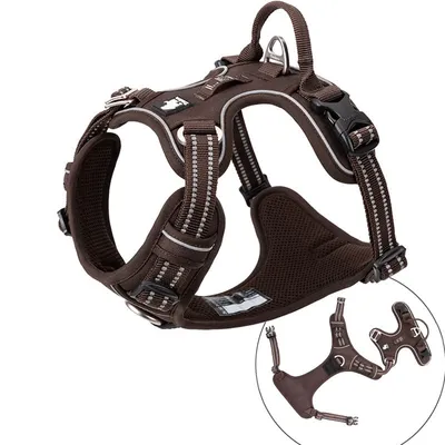 Harnais chien Truelove Country PLUS + dressage anti traction & promenade -
