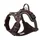 country-brun XL : 80 - 95 cm