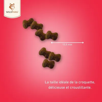 Wildfang® Collations fonctionnelles – pour les soins dentaires