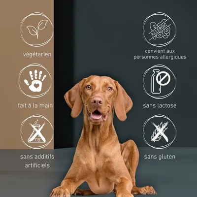 Wildfang Mélange apéritif au fromage - Popcorn au fromage et Harties