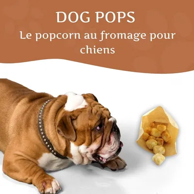 Wildfang Mélange apéritif au fromage - Popcorn au fromage et Harties