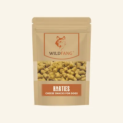 Wildfang Mélange apéritif au fromage - Popcorn au fromage et Harties