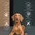 Wildfang Dog Pops Popcorn au fromage pour chiens Wildfang Dog Pops Popcorn au fromage pour chiens