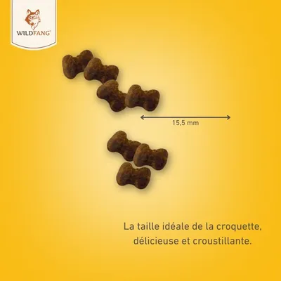 Wildfang® Snacks fonctionnels - la peau et le pelage des chiens Wildfang® Snacks fonctionnels - la peau et le pelage des chiens