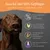 Wildfang® Snacks sans céréales à 80% de volaille pour chiens