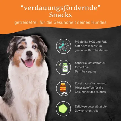 Wildfang Verdauungsfördernde Snacks mit Ente & Huhn - getreidefrei Wildfang Verdauungsfördernde Snacks mit Ente & Huhn - getreidefrei