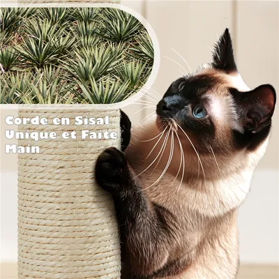 Yaheetech Grand Arbre à Chat Yaheetech Grand Arbre à Chat