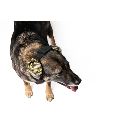 ARpaw Casque Anti-Bruit Apaisant pour Chien