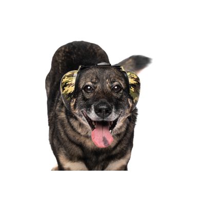 ARpaw Casque Anti-Bruit Apaisant pour Chien