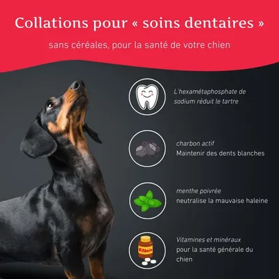 Wildfang Pack «collation saine» — assortiment 5 snacks pour chiens