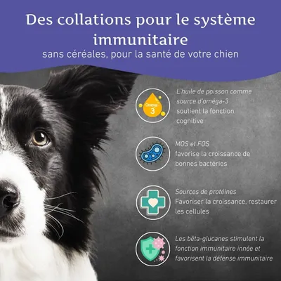 Wildfang Pack «collation saine» — assortiment 5 snacks pour chiens