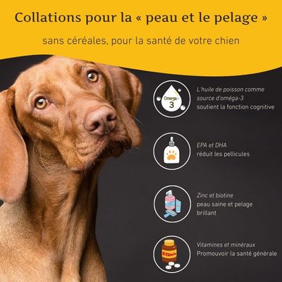 Wildfang Pack «collation saine» — assortiment 5 snacks pour chiens