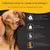 Wildfang Pack «collation saine» — assortiment 5 snacks pour chiens
