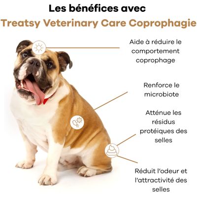 Complément contre l’ingestion de selles (coprophagie) pour chiens