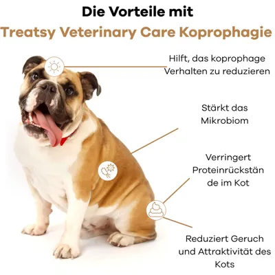 Treatsy – Ergänzungsfuttermittel gegen Kotfressen (Koprophagie) bei Hunden
