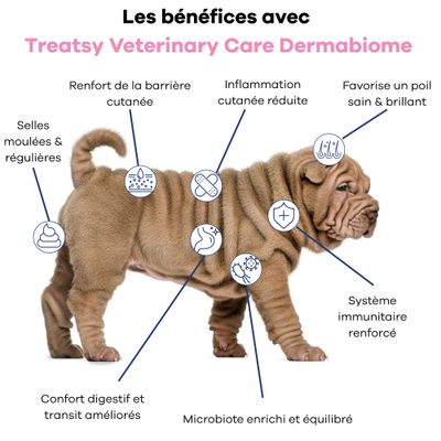 Treatsy - Complément Dermabiome allergies, démangeaisons & immunité-Chien