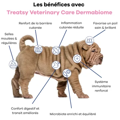 Treatsy - Complément Dermabiome allergies, démangeaisons & immunité-Chien