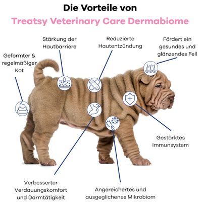Treatsy Dermabiome – Allergien, Juckreiz & Immunität Hund