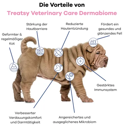 Treatsy Dermabiome – Allergien, Juckreiz & Immunität Hund