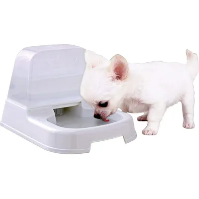 Iris Ohyama, Distributeur d'eau pour bouteille 2 L, Blanc, J-200 Iris Ohyama, Distributeur d'eau pour bouteille 2 L, Blanc, J-200