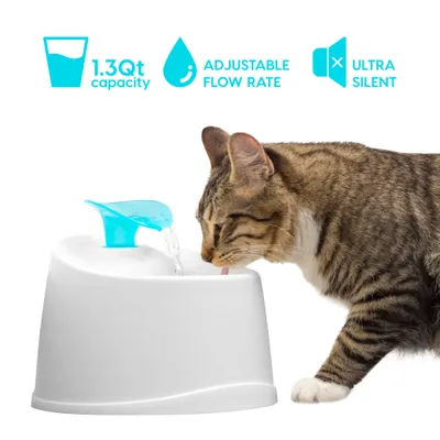 Fontaine à eau chat de 1,2 L, Filtre à charbon, pour chat, Gris, PWF-200 Fontaine à eau chat de 1,2 L, Filtre à charbon, pour chat, Gris, PWF-200