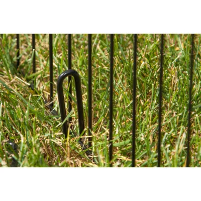 Iris Ohyama, Parc à chiot d'extérieur, Noir, WPC-48 Iris Ohyama, Parc à chiot d'extérieur, Noir, WPC-48