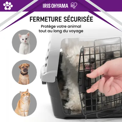 Iris Ohyama, Caisse de Transport  pour Chat, Voiture, Gris, UPC-490