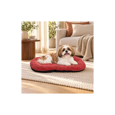 Mon Ami Luki - Coussin ovale antidérapant velours côtelé