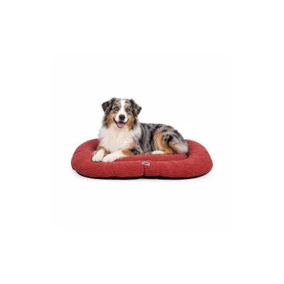 Mon Ami Luki - Coussin ovale antidérapant velours côtelé