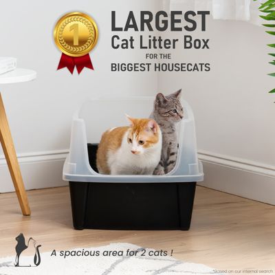 Grand Bac Litière pour Chat XXL, Noir, CLH-XL