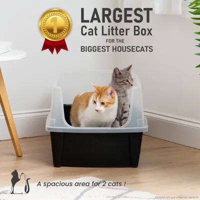 Grand Bac Litière pour Chat XXL, Noir, CLH-XL