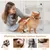 Pawffee Tondeuse LED sans fil pour zones sensibles du chien et chat