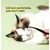 Pawffee Pinceaux pour poudre à larmes (chien/chat) Pawffee Pinceaux pour poudre à larmes (chien/chat)