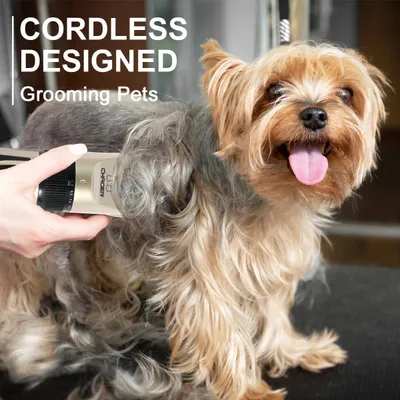Pawffee Tondeuse sans fil USB 5 vitesses pour animaux - Faible bruit