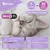 Felicalm Pack Chat – 2 Diffuseurs + 4 recharges de phéromones apaisantes Felicalm Pack Chat – 2 Diffuseurs + 4 recharges de phéromones apaisantes